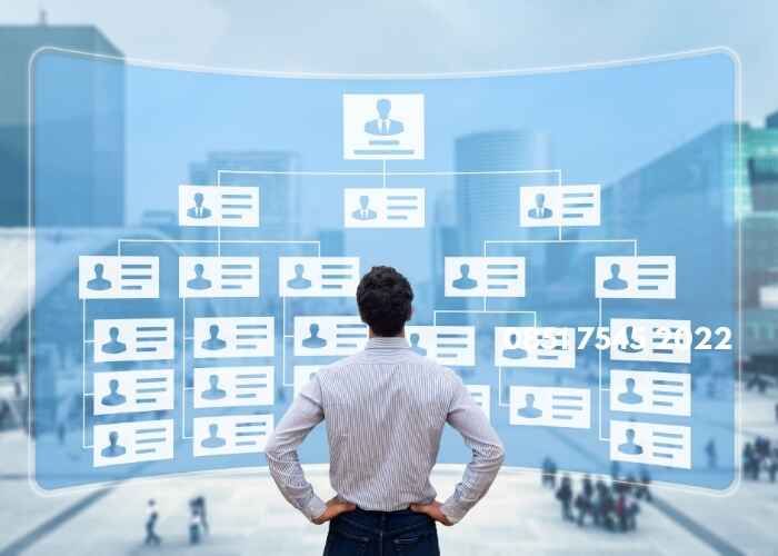 Pelajari cara menyusun struktur perusahaan yang tepat dan efisien untuk mendukung pertumbuhan bisnis jangka panjang.