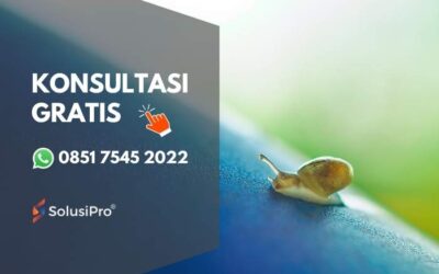 Kenali penyebab utama bisnis stagnan yang sering diabaikan dan cara mengatasinya secara efektif bersama SolusiPro.