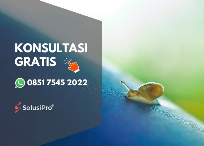 Kenali penyebab utama bisnis stagnan yang sering diabaikan dan cara mengatasinya secara efektif bersama SolusiPro.
